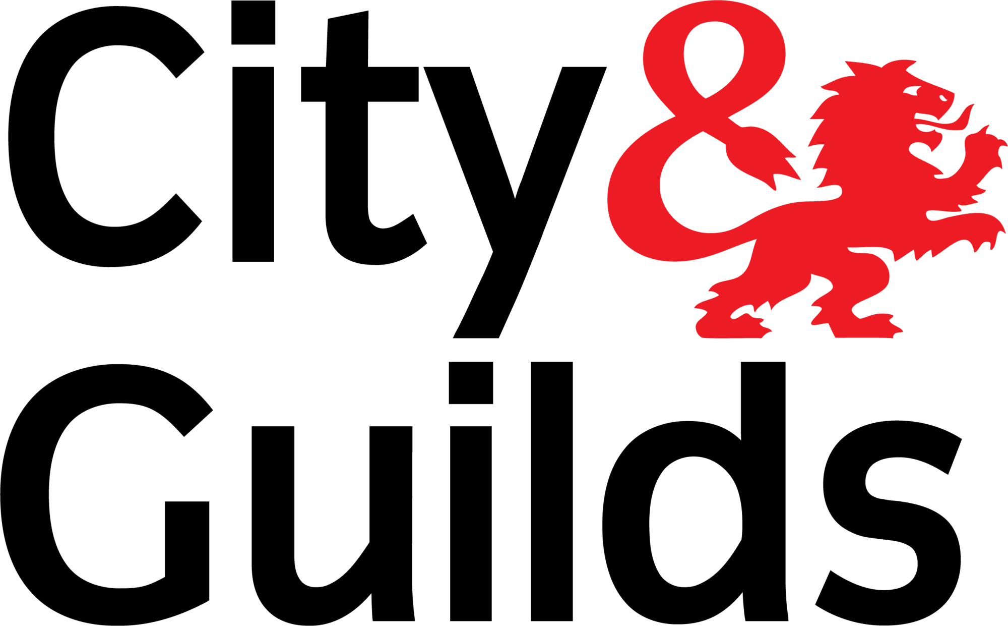 City & Guilds Qualified Electrician