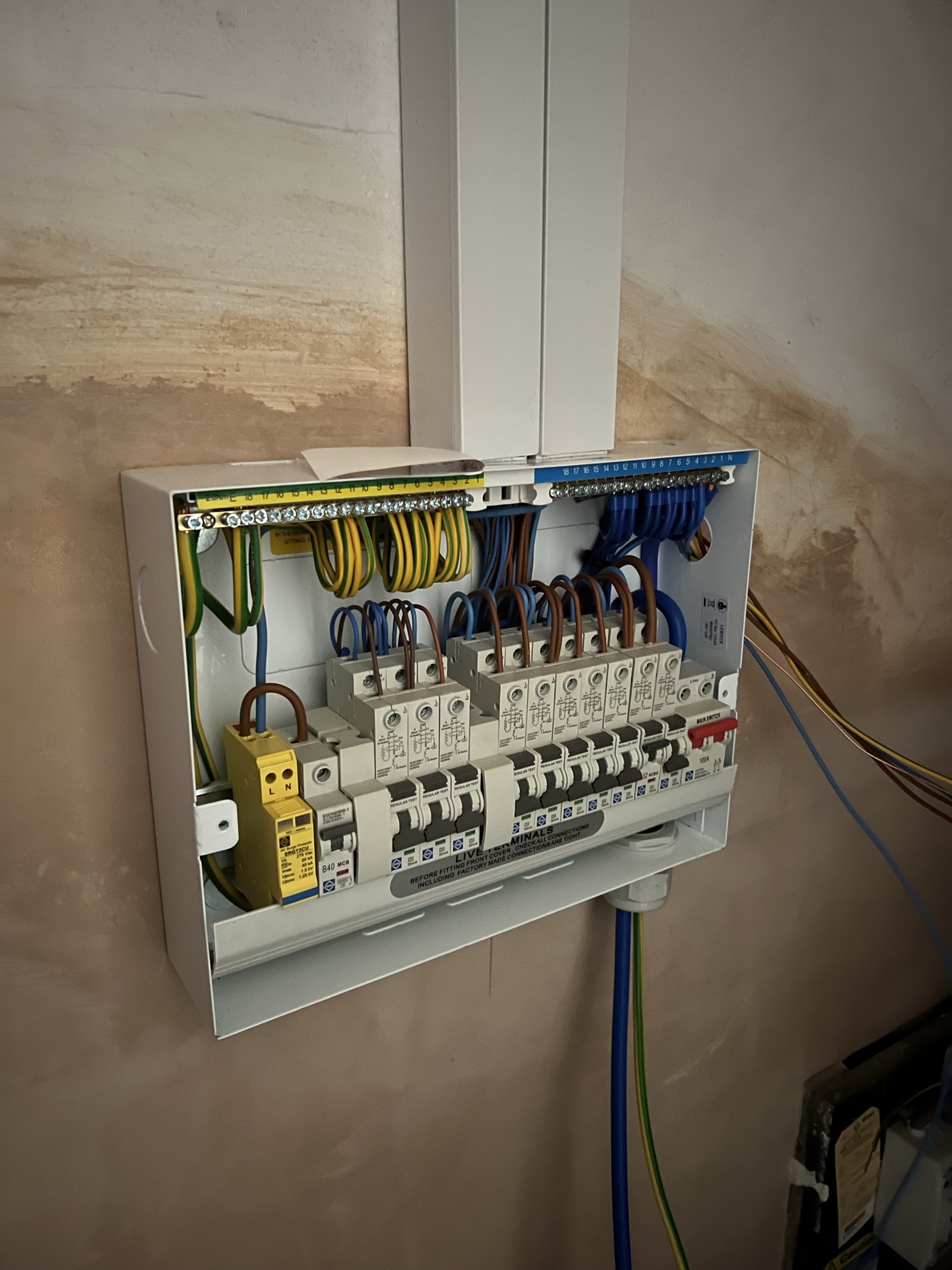 Domestic electrical repair